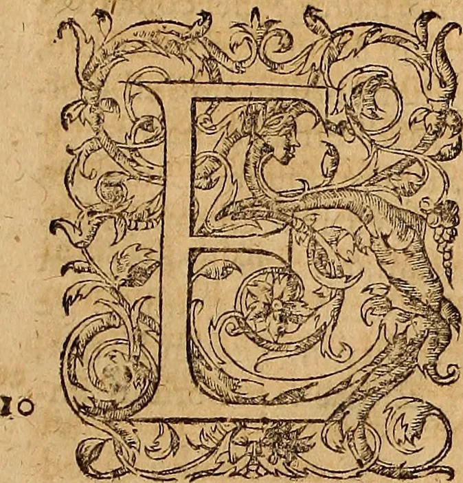 An illustration from Hispaniae illvstratæ; sev. Rervm. vrbivmq. Hispaniæ, Lvsitaniæ, Æthiopiæ et Indiæ scriptores varii., 1603, leaf 22