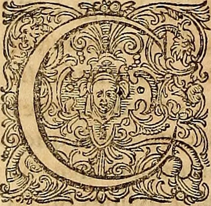 An illustration from Hispaniae illvstratæ; sev. Rervm. vrbivmq. Hispaniæ, Lvsitaniæ, Æthiopiæ et Indiæ scriptores varii., 1603, leaf 259