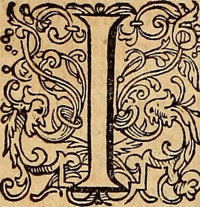 An illustration from Hispaniae illvstratæ; sev. Rervm. vrbivmq. Hispaniæ, Lvsitaniæ, Æthiopiæ et Indiæ scriptores varii., 1603, leaf 261