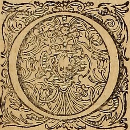 An illustration from Hispaniae illvstratæ; sev. Rervm. vrbivmq. Hispaniæ, Lvsitaniæ, Æthiopiæ et Indiæ scriptores varii., 1603, leaf 304