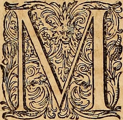 An illustration from Hispaniae illvstratæ; sev. Rervm. vrbivmq. Hispaniæ, Lvsitaniæ, Æthiopiæ et Indiæ scriptores varii., 1603, leaf 305