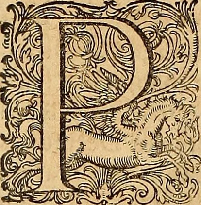 An illustration from Hispaniae illvstratæ; sev. Rervm. vrbivmq. Hispaniæ, Lvsitaniæ, Æthiopiæ et Indiæ scriptores varii., 1603, leaf 317