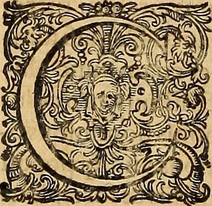 An illustration from Hispaniae illvstratæ; sev. Rervm. vrbivmq. Hispaniæ, Lvsitaniæ, Æthiopiæ et Indiæ scriptores varii., 1603, leaf 323