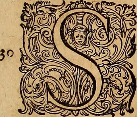 An illustration from Hispaniae illvstratæ; sev. Rervm. vrbivmq. Hispaniæ, Lvsitaniæ, Æthiopiæ et Indiæ scriptores varii., 1603, leaf 342