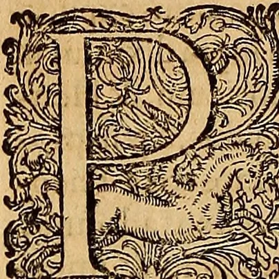 An illustration from Hispaniae illvstratæ; sev. Rervm. vrbivmq. Hispaniæ, Lvsitaniæ, Æthiopiæ et Indiæ scriptores varii., 1603, leaf 369