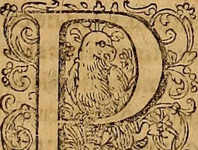An illustration from Hispaniae illvstratæ; sev. Rervm. vrbivmq. Hispaniæ, Lvsitaniæ, Æthiopiæ et Indiæ scriptores varii., 1603, leaf 398