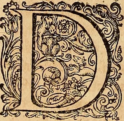 An illustration from Hispaniae illvstratæ; sev. Rervm. vrbivmq. Hispaniæ, Lvsitaniæ, Æthiopiæ et Indiæ scriptores varii., 1603, leaf 447