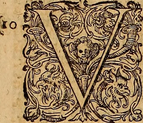 An illustration from Hispaniae illvstratæ; sev. Rervm. vrbivmq. Hispaniæ, Lvsitaniæ, Æthiopiæ et Indiæ scriptores varii., 1603, leaf 48