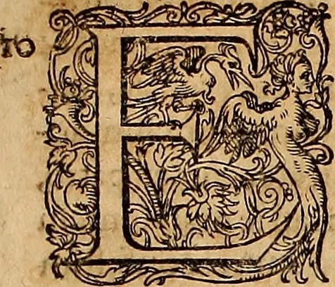 An illustration from Hispaniae illvstratæ; sev. Rervm. vrbivmq. Hispaniæ, Lvsitaniæ, Æthiopiæ et Indiæ scriptores varii., 1603, leaf 480