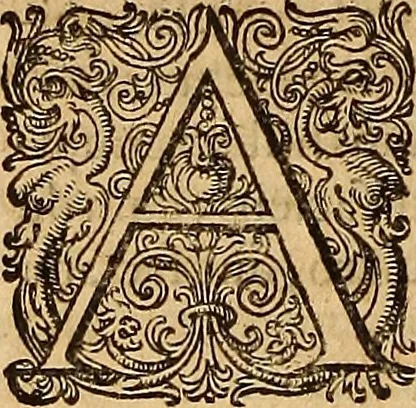An illustration from Hispaniae illvstratæ; sev. Rervm. vrbivmq. Hispaniæ, Lvsitaniæ, Æthiopiæ et Indiæ scriptores varii., 1603, leaf 515