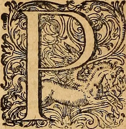An illustration from Hispaniae illvstratæ; sev. Rervm. vrbivmq. Hispaniæ, Lvsitaniæ, Æthiopiæ et Indiæ scriptores varii., 1603, leaf 527