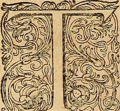 An illustration from Hispaniae illvstratæ; sev. Rervm. vrbivmq. Hispaniæ, Lvsitaniæ, Æthiopiæ et Indiæ scriptores varii., 1603, leaf 531