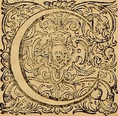 An illustration from Hispaniae illvstratæ; sev. Rervm. vrbivmq. Hispaniæ, Lvsitaniæ, Æthiopiæ et Indiæ scriptores varii., 1603, leaf 585