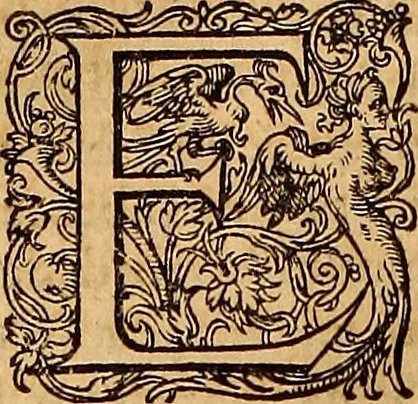 An illustration from Hispaniae illvstratæ; sev. Rervm. vrbivmq. Hispaniæ, Lvsitaniæ, Æthiopiæ et Indiæ scriptores varii., 1603, leaf 61