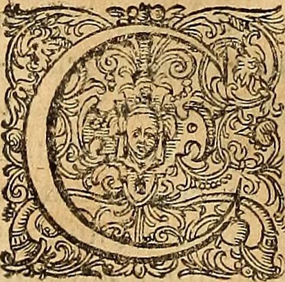 An illustration from Hispaniae illvstratæ; sev. Rervm. vrbivmq. Hispaniæ, Lvsitaniæ, Æthiopiæ et Indiæ scriptores varii., 1603, leaf 63
