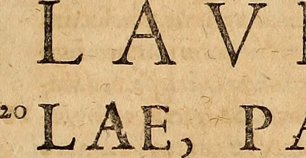 An illustration from Hispaniae illvstratæ; sev. Rervm. vrbivmq. Hispaniæ, Lvsitaniæ, Æthiopiæ et Indiæ scriptores varii., 1603, leaf 740