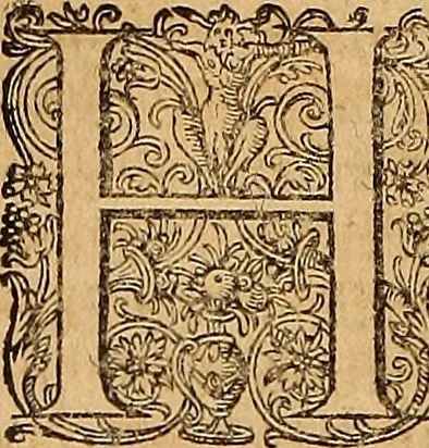 An illustration from Hispaniae illvstratæ; sev. Rervm. vrbivmq. Hispaniæ, Lvsitaniæ, Æthiopiæ et Indiæ scriptores varii., 1603, leaf 765