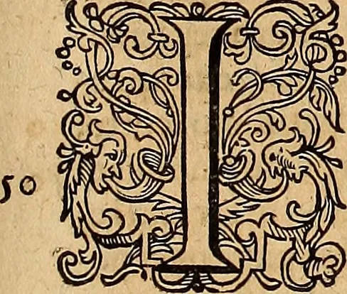 An illustration from Hispaniae illvstratæ; sev. Rervm. vrbivmq. Hispaniæ, Lvsitaniæ, Æthiopiæ et Indiæ scriptores varii., 1603, leaf 784