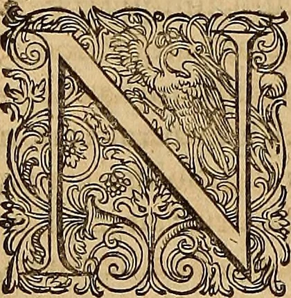 An illustration from Hispaniae illvstratæ; sev. Rervm. vrbivmq. Hispaniæ, Lvsitaniæ, Æthiopiæ et Indiæ scriptores varii., 1603, leaf 799
