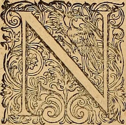 An illustration from Hispaniae illvstratæ; sev. Rervm. vrbivmq. Hispaniæ, Lvsitaniæ, Æthiopiæ et Indiæ scriptores varii., 1603, leaf 801