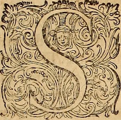 An illustration from Hispaniae illvstratæ; sev. Rervm. vrbivmq. Hispaniæ, Lvsitaniæ, Æthiopiæ et Indiæ scriptores varii., 1603, leaf 804