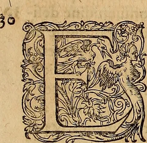 An illustration from Hispaniae illvstratæ; sev. Rervm. vrbivmq. Hispaniæ, Lvsitaniæ, Æthiopiæ et Indiæ scriptores varii., 1603, leaf 808