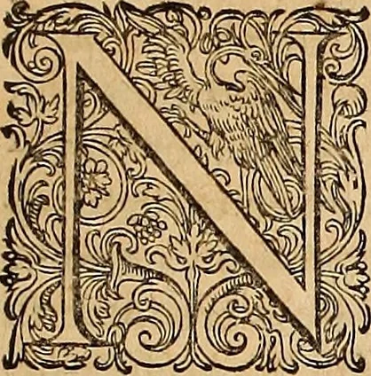 An illustration from Hispaniae illvstratæ; sev. Rervm. vrbivmq. Hispaniæ, Lvsitaniæ, Æthiopiæ et Indiæ scriptores varii., 1603, leaf 818