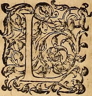 An illustration from Hispaniae illvstratæ; sev. Rervm. vrbivmq. Hispaniæ, Lvsitaniæ, Æthiopiæ et Indiæ scriptores varii., 1603, leaf 851