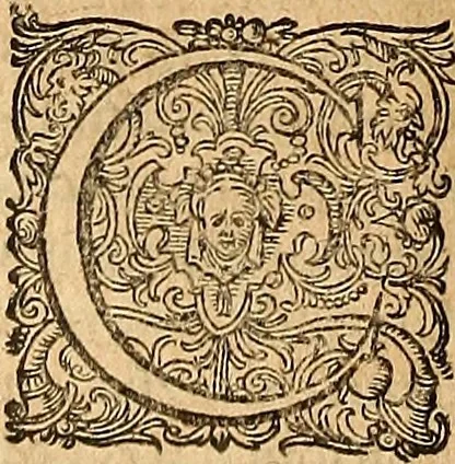 An illustration from Hispaniae illvstratæ; sev. Rervm. vrbivmq. Hispaniæ, Lvsitaniæ, Æthiopiæ et Indiæ scriptores varii., 1603, leaf 861