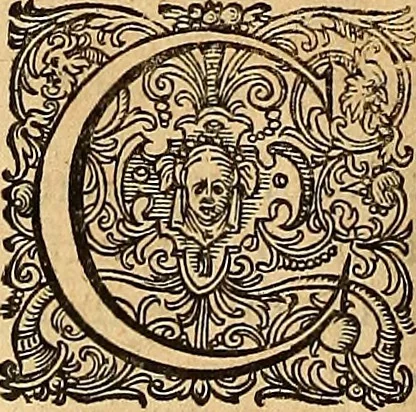 An illustration from Hispaniae illvstratæ; sev. Rervm. vrbivmq. Hispaniæ, Lvsitaniæ, Æthiopiæ et Indiæ scriptores varii., 1603, leaf 871