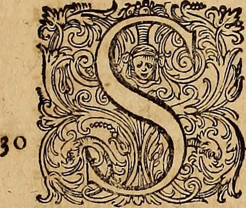 An illustration from Hispaniae illvstratæ; sev. Rervm. vrbivmq. Hispaniæ, Lvsitaniæ, Æthiopiæ et Indiæ scriptores varii., 1603, leaf 882