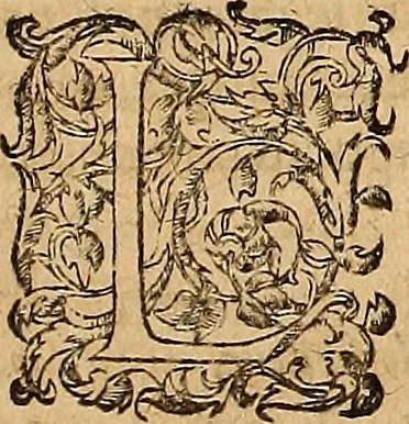 An illustration from Hispaniae illvstratæ; sev. Rervm. vrbivmq. Hispaniæ, Lvsitaniæ, Æthiopiæ et Indiæ scriptores varii., 1603, leaf 908