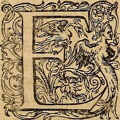 An illustration from Hispaniae illvstratæ; sev. Rervm. vrbivmq. Hispaniæ, Lvsitaniæ, Æthiopiæ et Indiæ scriptores varii., 1603, leaf 916