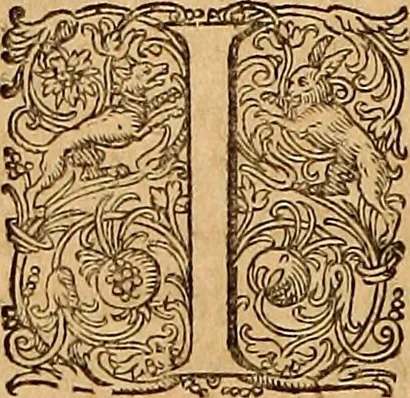 An illustration from Hispaniae illvstratæ; sev. Rervm. vrbivmq. Hispaniæ, Lvsitaniæ, Æthiopiæ et Indiæ scriptores varii., 1603, leaf 919