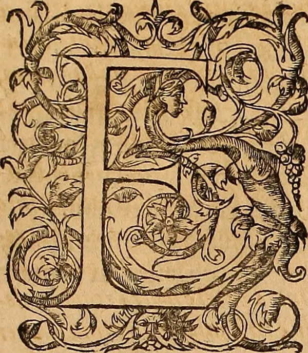 An illustration from Hispaniae illvstratæ; sev. Rervm. vrbivmq. Hispaniæ, Lvsitaniæ, Æthiopiæ et Indiæ scriptores varii., 1603, leaf 920