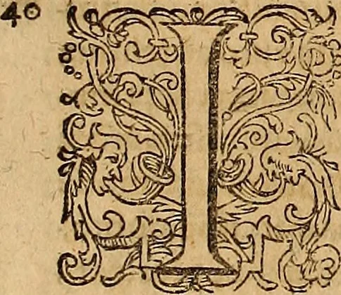 An illustration from Hispaniae illvstratæ; sev. Rervm. vrbivmq. Hispaniæ, Lvsitaniæ, Æthiopiæ et Indiæ scriptores varii., 1603, leaf 930