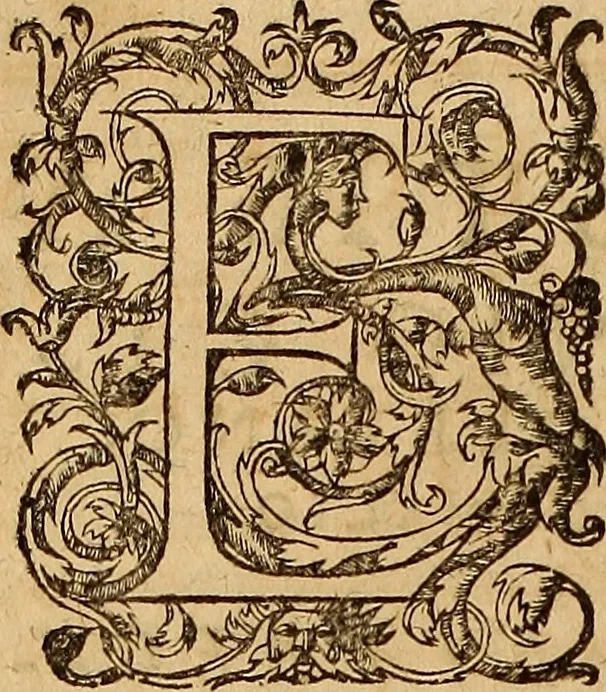 An illustration from Hispaniae illvstratæ; sev. Rervm. vrbivmq. Hispaniæ, Lvsitaniæ, Æthiopiæ et Indiæ scriptores varii., 1603, leaf 941