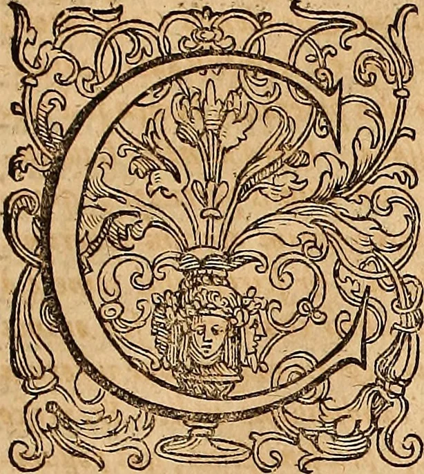 An illustration from Hispaniae illvstratæ; sev. Rervm. vrbivmq. Hispaniæ, Lvsitaniæ, Æthiopiæ et Indiæ scriptores varii., 1603, leaf 944