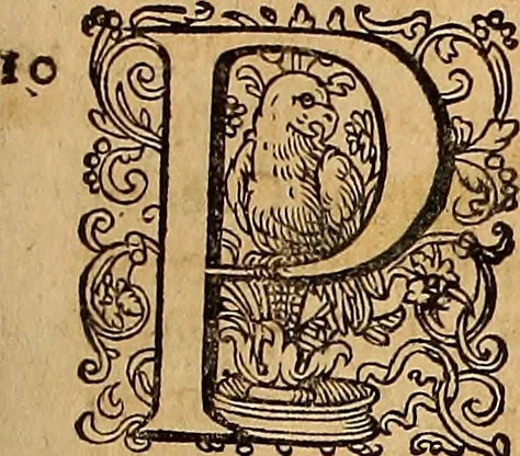 An illustration from Hispaniae illvstratæ; sev. Rervm. vrbivmq. Hispaniæ, Lvsitaniæ, Æthiopiæ et Indiæ scriptores varii., 1603, leaf 98