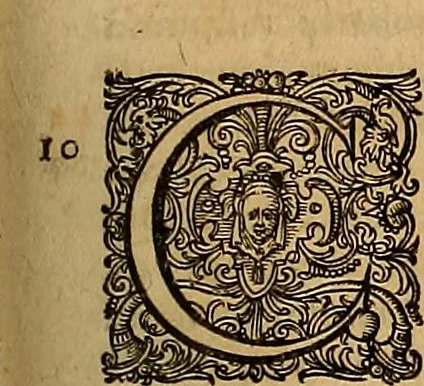 An illustration from Hispaniae illvstratæ; sev. Rervm. vrbivmq. Hispaniæ, Lvsitaniæ, Æthiopiæ et Indiæ scriptores varii., 1603, leaf 1004