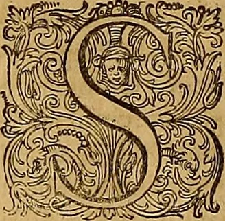 An illustration from Hispaniae illvstratæ; sev. Rervm. vrbivmq. Hispaniæ, Lvsitaniæ, Æthiopiæ et Indiæ scriptores varii., 1603, leaf 101