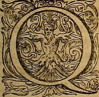 An illustration from Hispaniae illvstratæ; sev. Rervm. vrbivmq. Hispaniæ, Lvsitaniæ, Æthiopiæ et Indiæ scriptores varii., 1603, leaf 1010