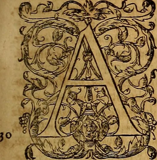 An illustration from Hispaniae illvstratæ; sev. Rervm. vrbivmq. Hispaniæ, Lvsitaniæ, Æthiopiæ et Indiæ scriptores varii., 1603, leaf 1030