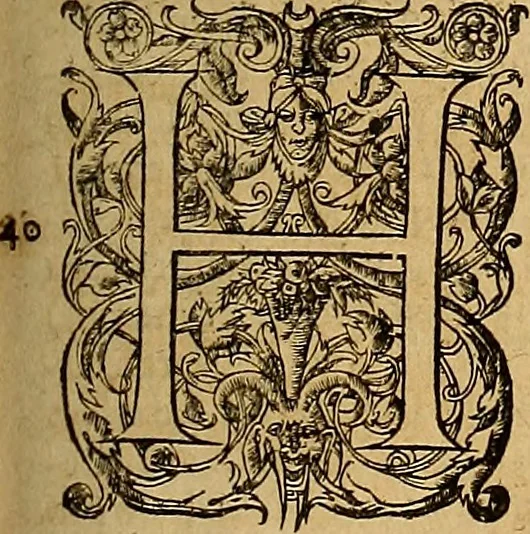 An illustration from Hispaniae illvstratæ; sev. Rervm. vrbivmq. Hispaniæ, Lvsitaniæ, Æthiopiæ et Indiæ scriptores varii., 1603, leaf 1038