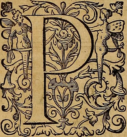 An illustration from Hispaniae illvstratæ; sev. Rervm. vrbivmq. Hispaniæ, Lvsitaniæ, Æthiopiæ et Indiæ scriptores varii., 1603, leaf 1039