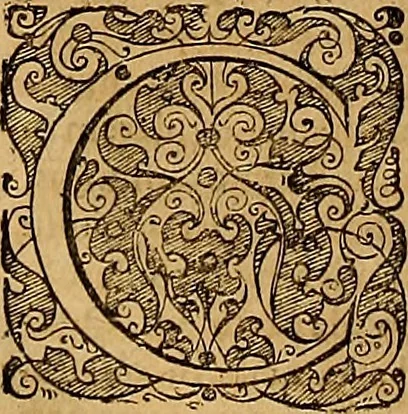 An illustration from Hispaniae illvstratæ; sev. Rervm. vrbivmq. Hispaniæ, Lvsitaniæ, Æthiopiæ et Indiæ scriptores varii., 1603, leaf 1065
