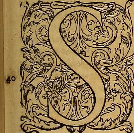 An illustration from Hispaniae illvstratæ; sev. Rervm. vrbivmq. Hispaniæ, Lvsitaniæ, Æthiopiæ et Indiæ scriptores varii., 1603, leaf 1066