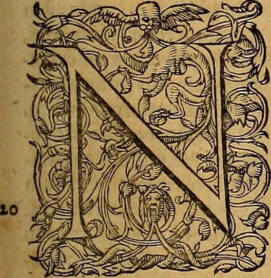 An illustration from Hispaniae illvstratæ; sev. Rervm. vrbivmq. Hispaniæ, Lvsitaniæ, Æthiopiæ et Indiæ scriptores varii., 1603, leaf 1172