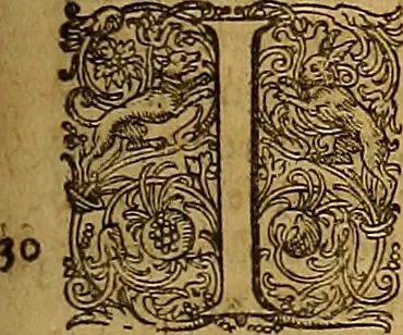 An illustration from Hispaniae illvstratæ; sev. Rervm. vrbivmq. Hispaniæ, Lvsitaniæ, Æthiopiæ et Indiæ scriptores varii., 1603, leaf 1188