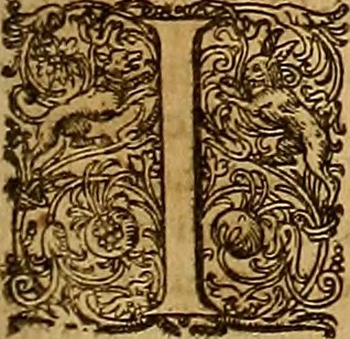 An illustration from Hispaniae illvstratæ; sev. Rervm. vrbivmq. Hispaniæ, Lvsitaniæ, Æthiopiæ et Indiæ scriptores varii., 1603, leaf 1204